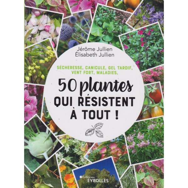 Sécheresse, canicule, gel tardif, vent fort, maladies -50 plantes qui résistent à tout