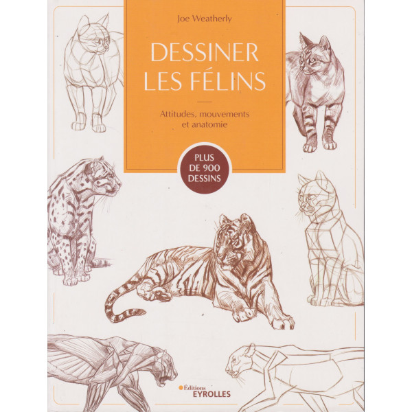 Dessiner les félins - Attitudes, mouvements et anatomie