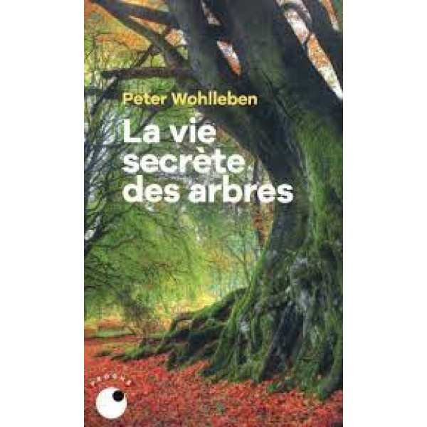 La vie secrète des arbres