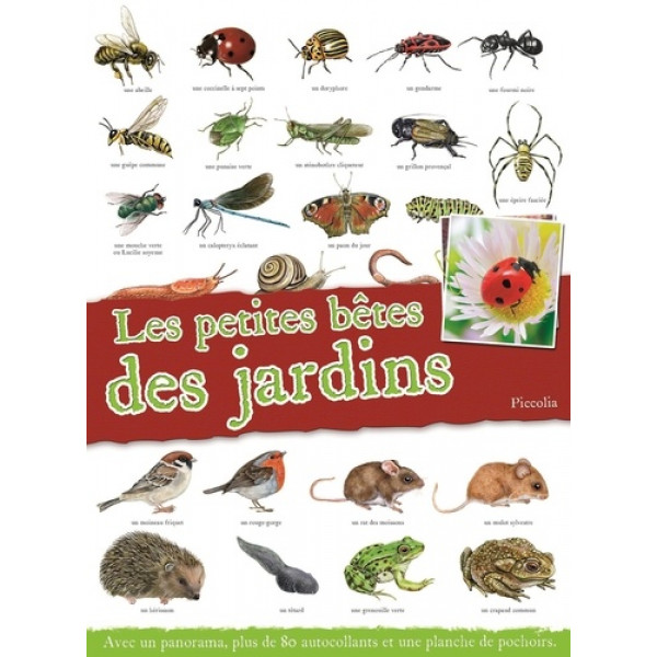 Le petites bêtes des jardins -Avec un panorama, plus de 80 autocollants et une planche de pochoirs 