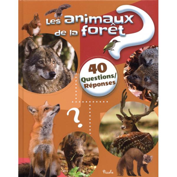 40 Questions réponses -Les animaux de la foret