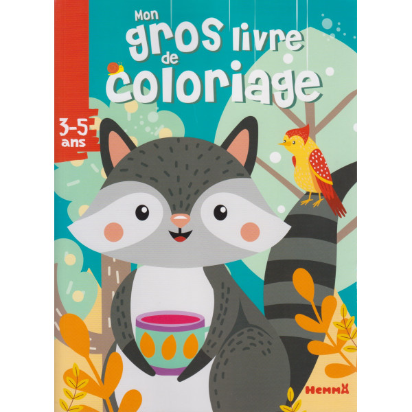 MON GROS LIVRE DE COLORIAGE - RATON LAVEUR