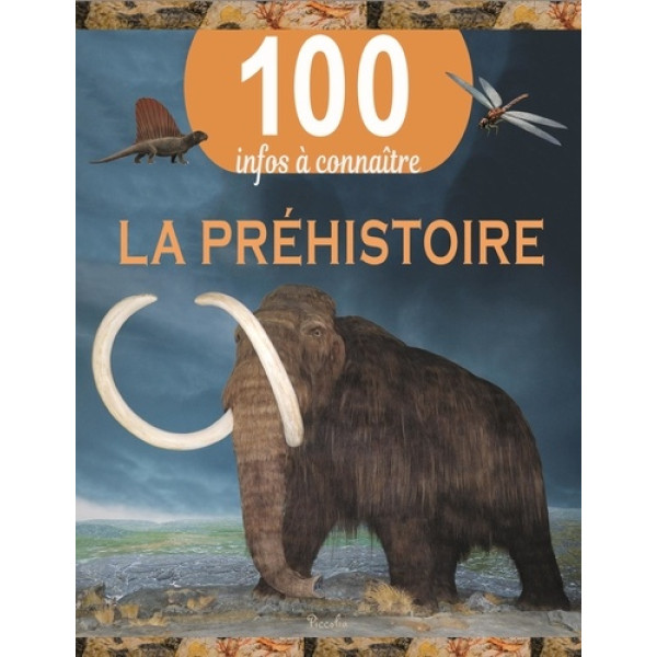 Mon p'tit hemma - Mon imagier coloré à compléter Les animaux
