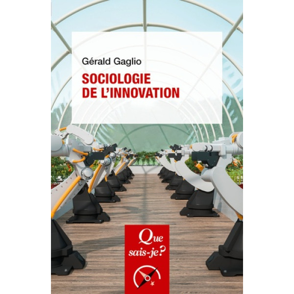 Sociologie de l'innovation*