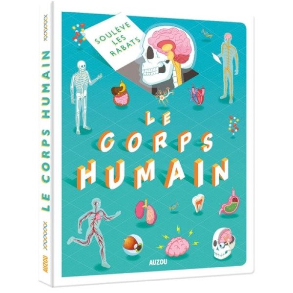 Le corps humain