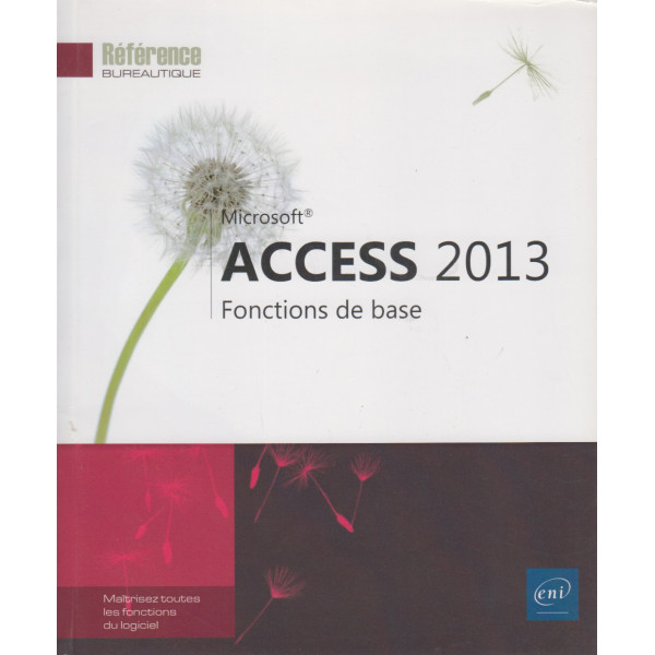 Access 2013 - Fonctions de base