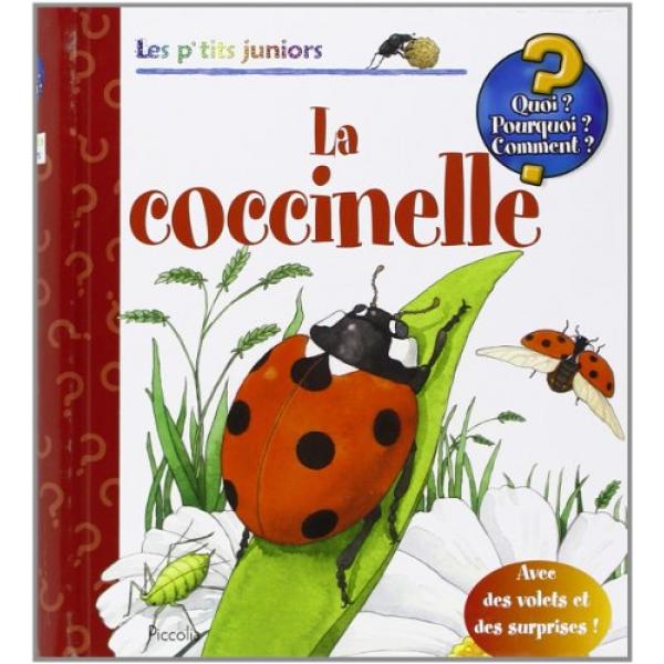 La coccinelle -Les p'tits juniors