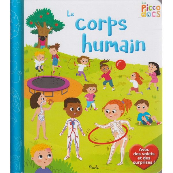 Les Picco docs -Le corps humain