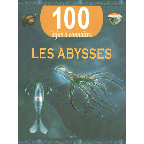 100 infos a connaitre -Les abysses