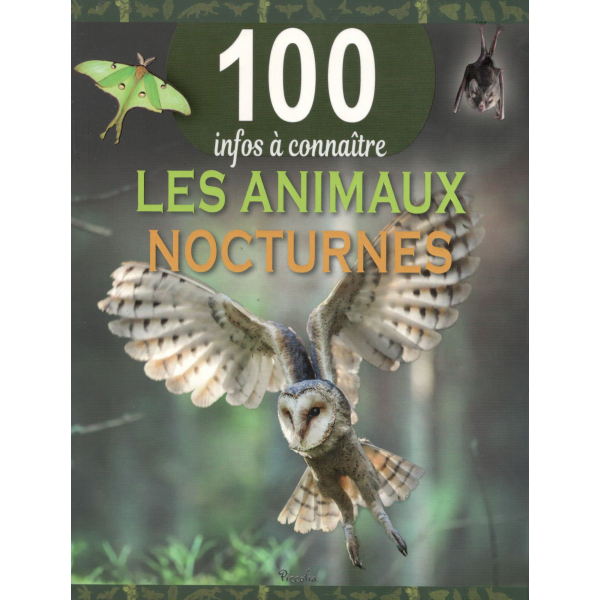 100 infos a connaitre -Les animaux nocturnes