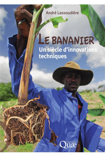 Le bananier. Un siècle d'innovations techniques Le bananier. Un siècle d'innovations techniques