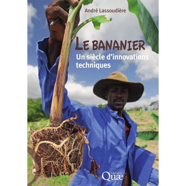 Le bananier. Un siècle d'innovations techniques