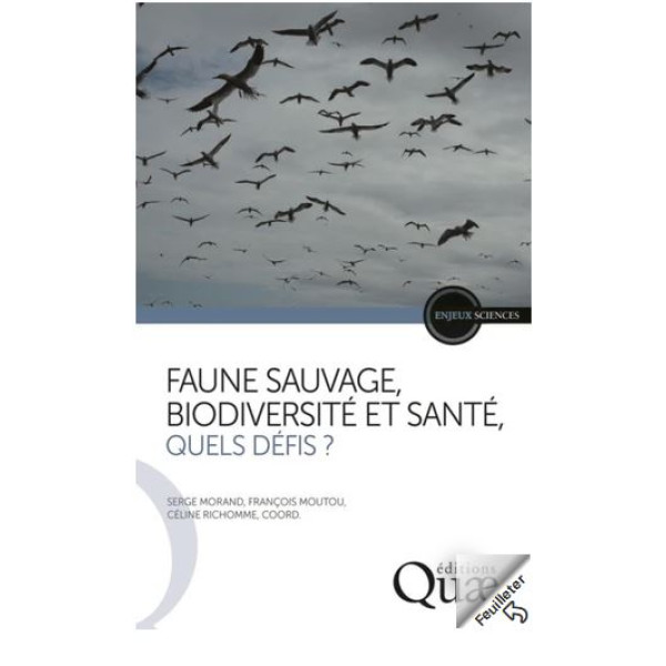 Faune sauvage biodiversité et santé quels défis