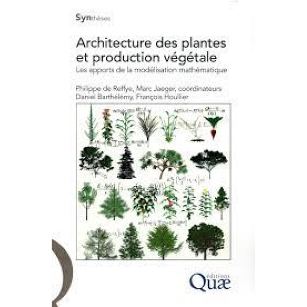 Architecture des plantes et production végétale