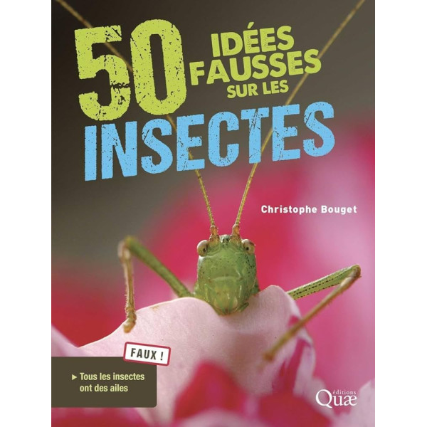 50 idées fausses sur les insectes 