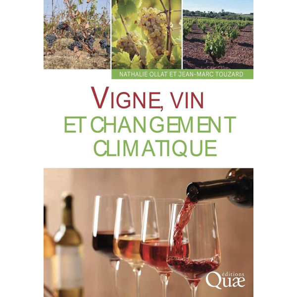 Vigne vin et changement climatique