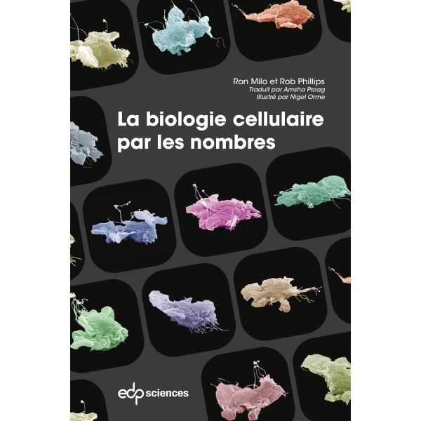 La biologie cellulaire par les nombres