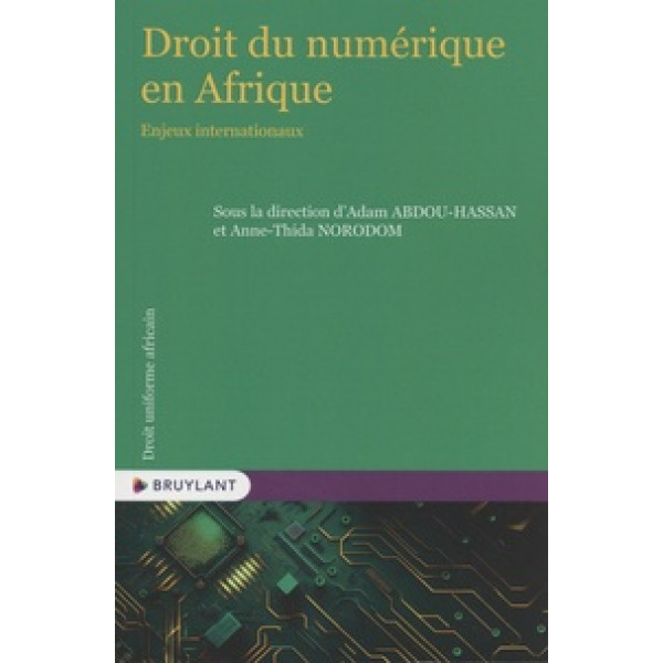 Droit du numérique en Afrique - Enjeux internationaux (campus)