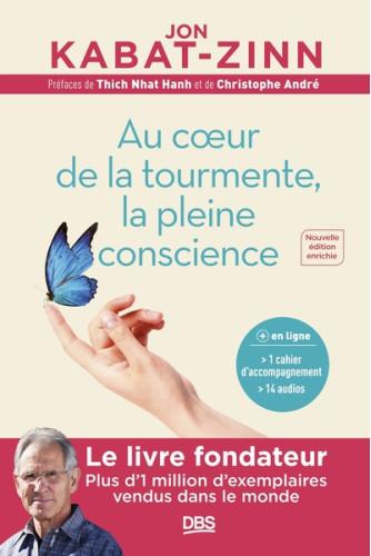 Au cœur de la tourmente, la pleine conscience Au cœur de la tourmente, la pleine conscience