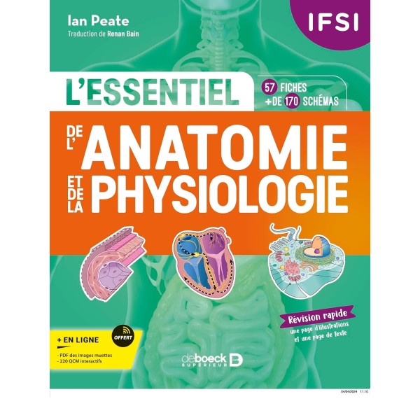 L'essentiel de l’anatomie et de la physiologie en fiches: 57 fiches - Plus de 170 illustrations 
