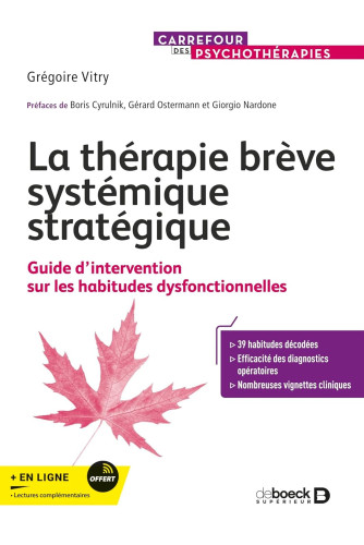 LA THERAPIE BREVE SYSTEMIQUE STRATEGIQUE LA THERAPIE BREVE SYSTEMIQUE STRATEGIQUE