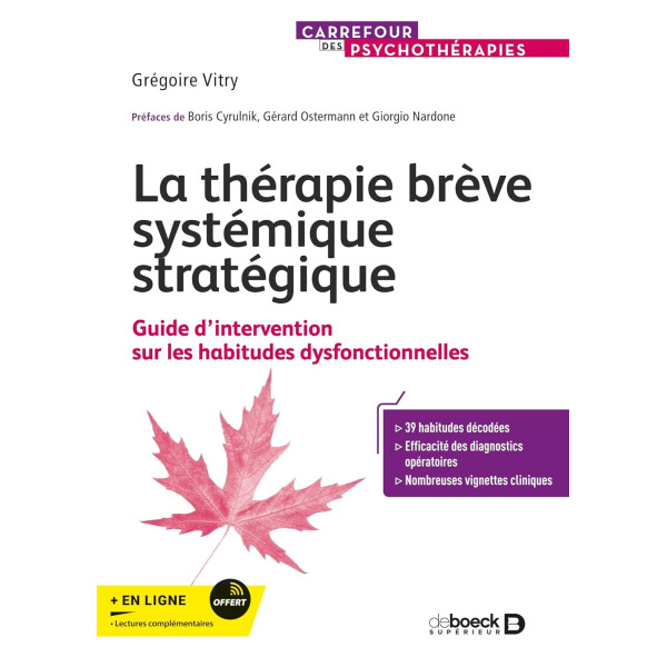 LA THERAPIE BREVE SYSTEMIQUE STRATEGIQUE