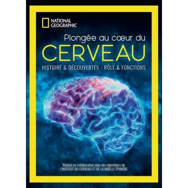 Plongée au coeur du cerveau 