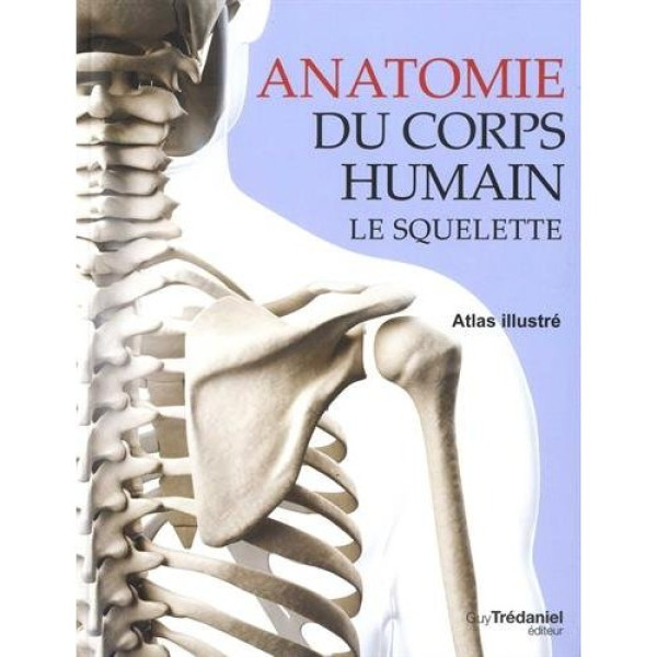 Anatomie du corps humain Le squelette