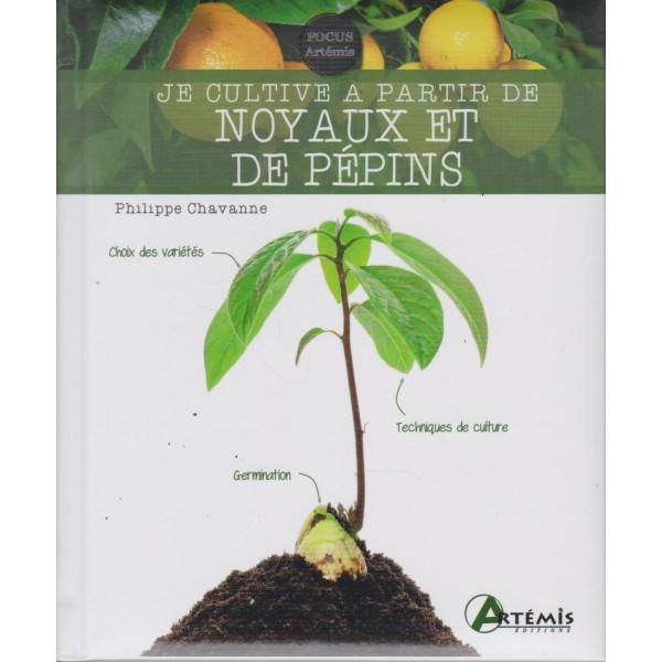 Je cultive à partir de noyaux et de pépins 