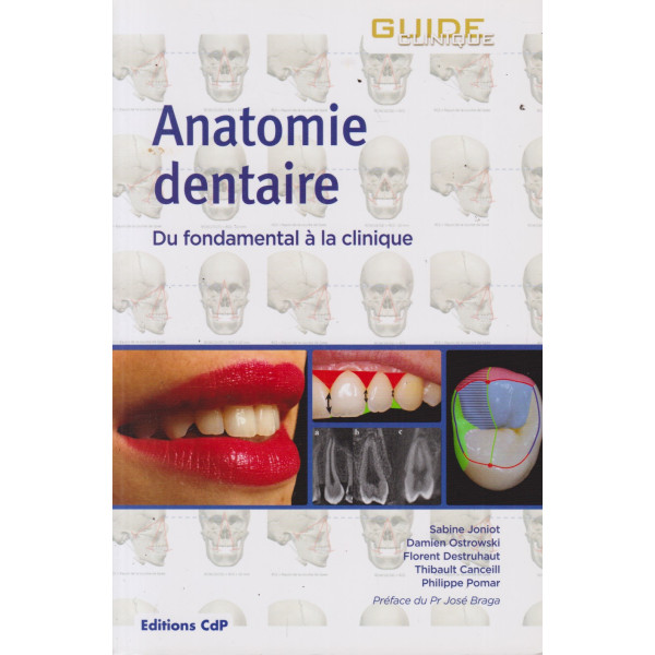 Anatomie dentaire: Du fondamental à la clinique