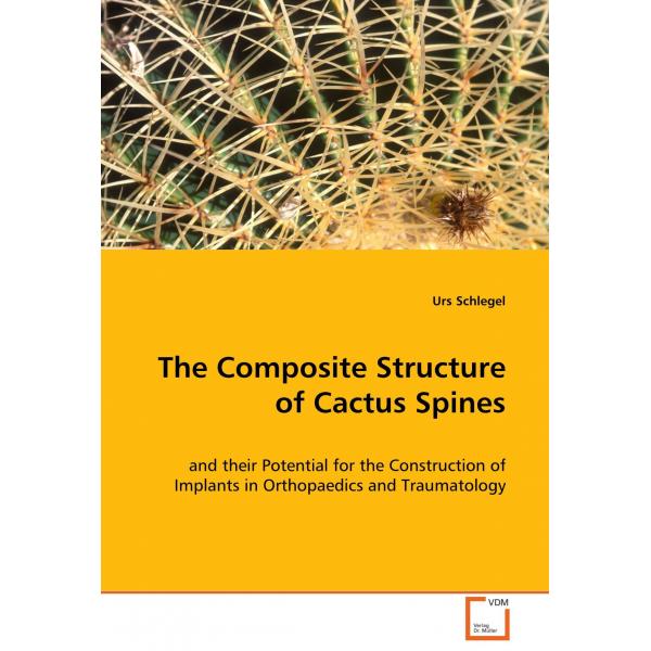 The Composite Structure of Cactus Spines
