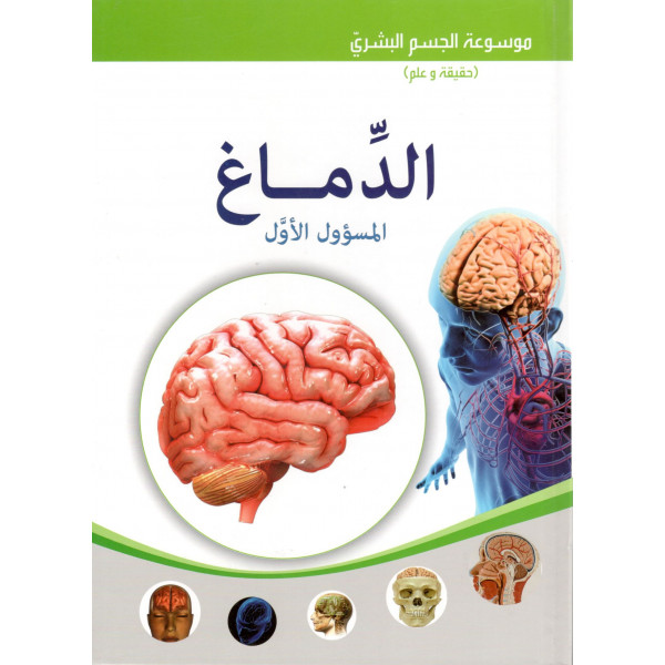 الدماغ -موسوعة الجسم البشري