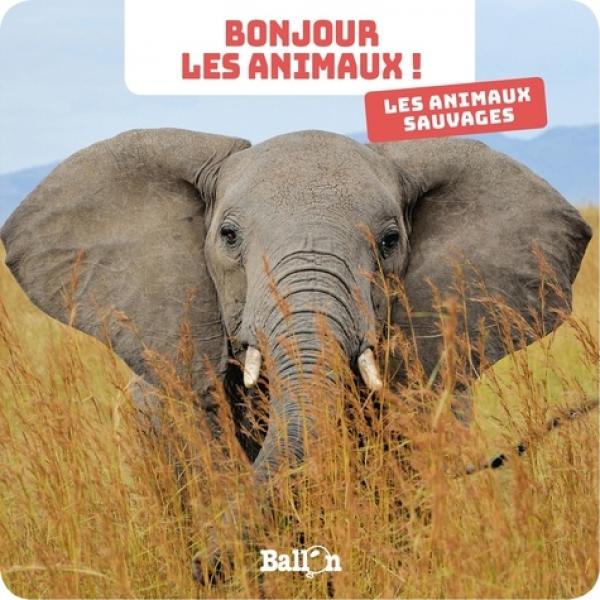 Bonjour les animaux -Les animaux sauvages