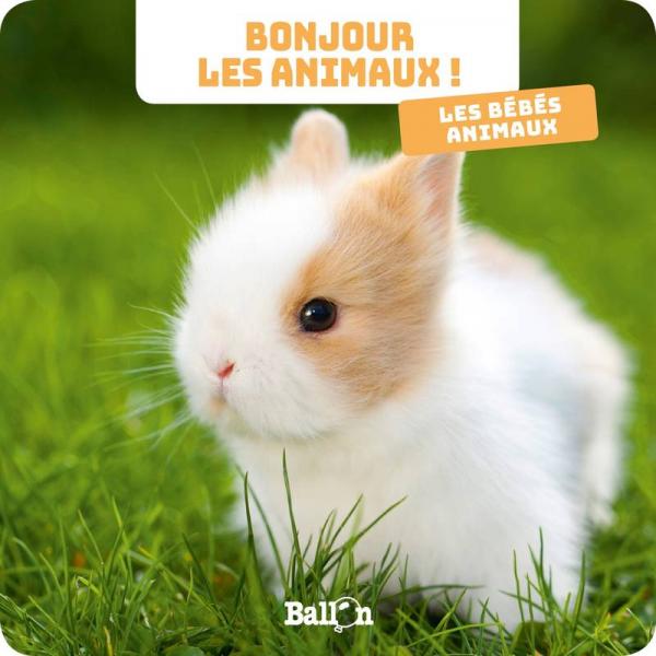 Bonjour les animaux -Les bébés animaux