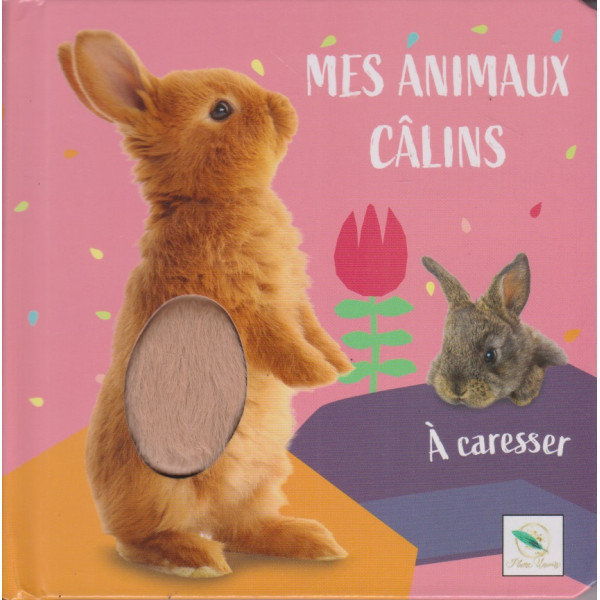 Lapin -Mes animaux câlins