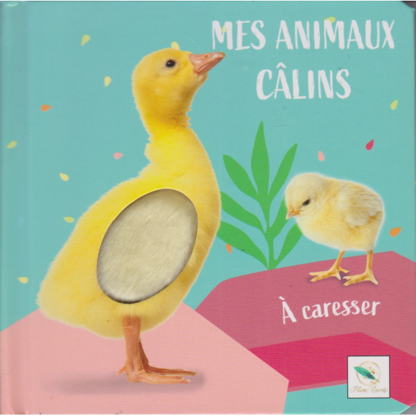 Canard -Mes animaux câlins