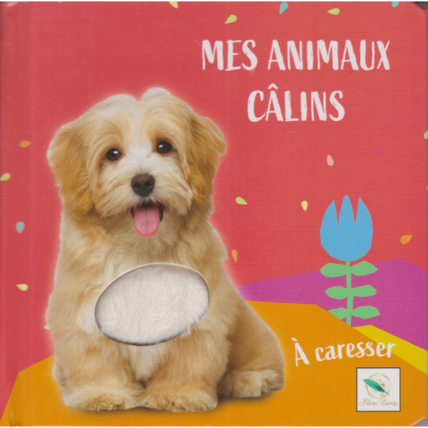 Chiens- Mes animaux câlins