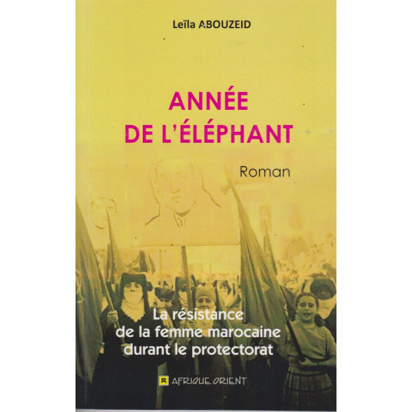 Année de l'éléphant 