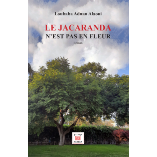Le Jacaranda n'est pas en fleur