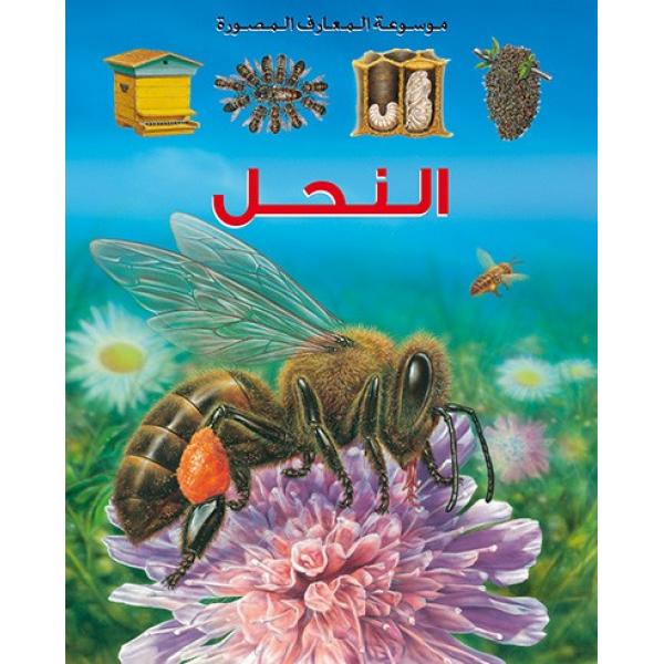 موسوعة المعارف المصورة -النحل