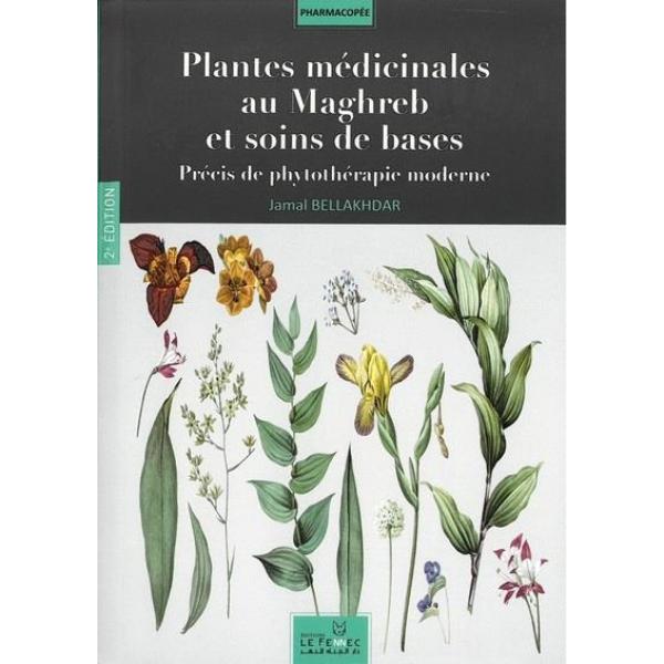 Plantes médicinales au maghreb
