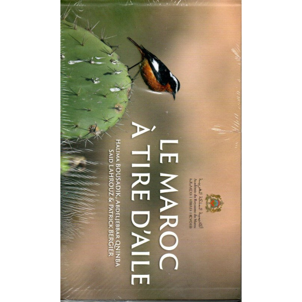 Le maroc a tire d'aile