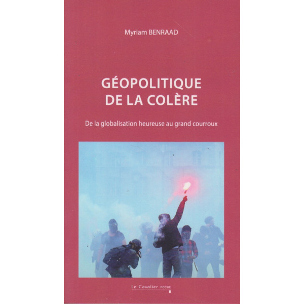 Géopolitique de la colère - De la globalisation heureuse au grand courroux