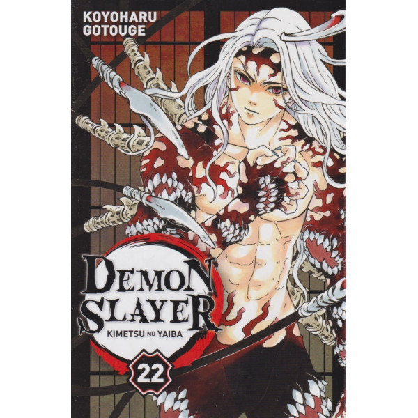 Demon Slayer T23