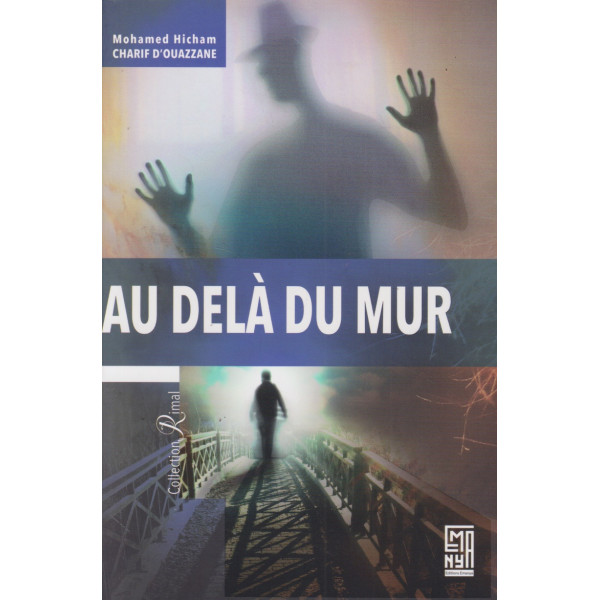 Au delà du mur